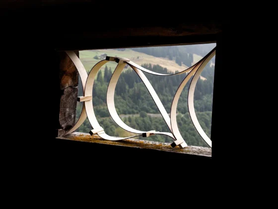 Blick aus dem Ziegenstall